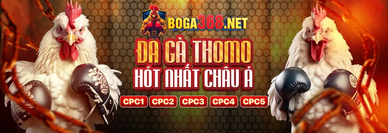 Đăng nhập qibet chính thức an toàn