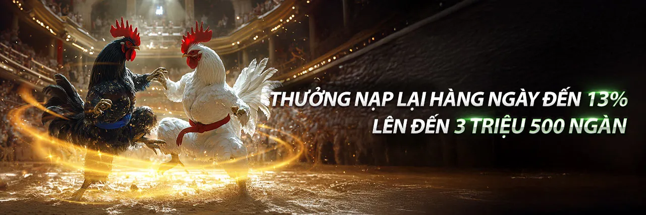 Câu Lạc Bộ VIP QIBET Chính Thức 2026